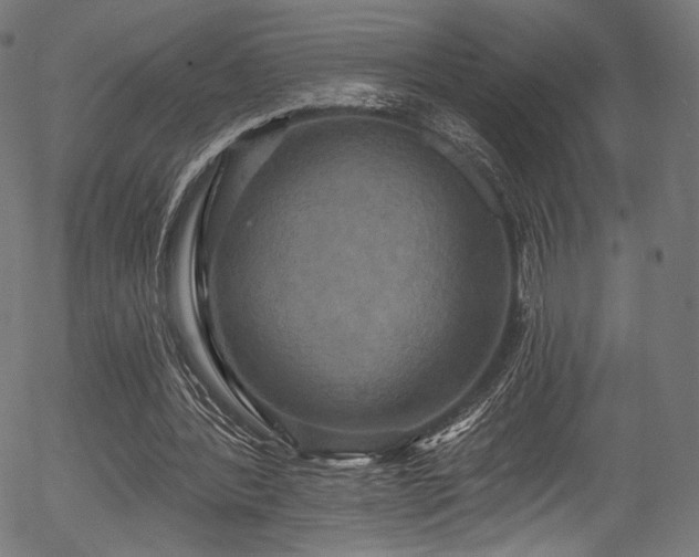 X0000056350388200508291328