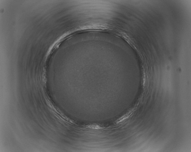 X0000056350392200508291327