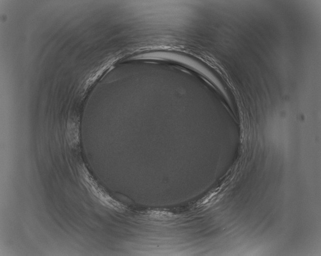 X0000056350393200508291327