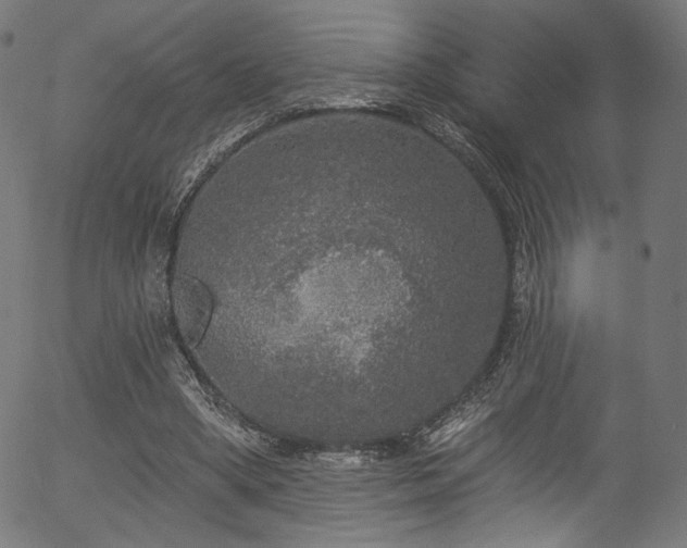 X0000056350394200508291327