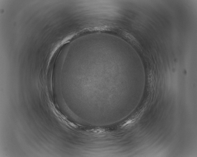 X0000056350395200508291327