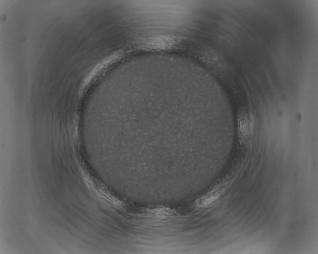 X0000056350396200508291327