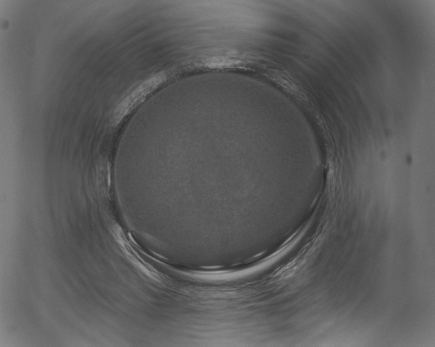 X0000056350397200508291327