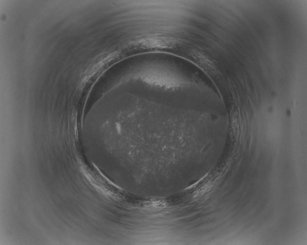 X0000056350398200508291327