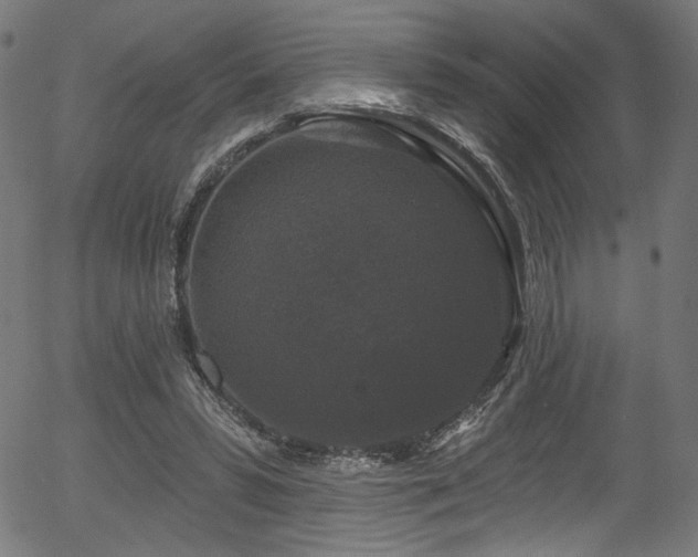 X0000056350399200508291327