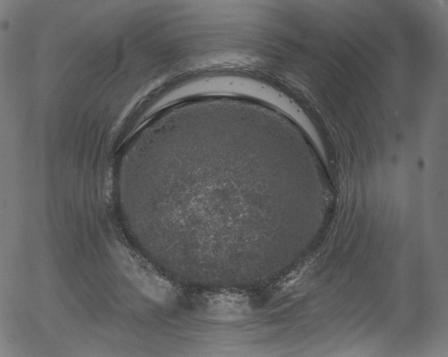 X0000056350400200508291327