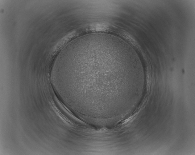 X0000056350401200508291327