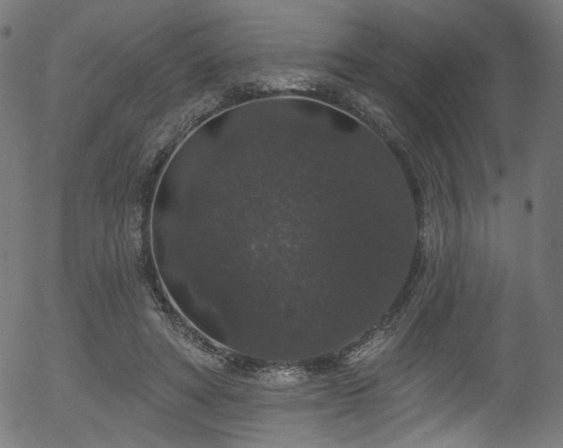 X0000056350402200508291327