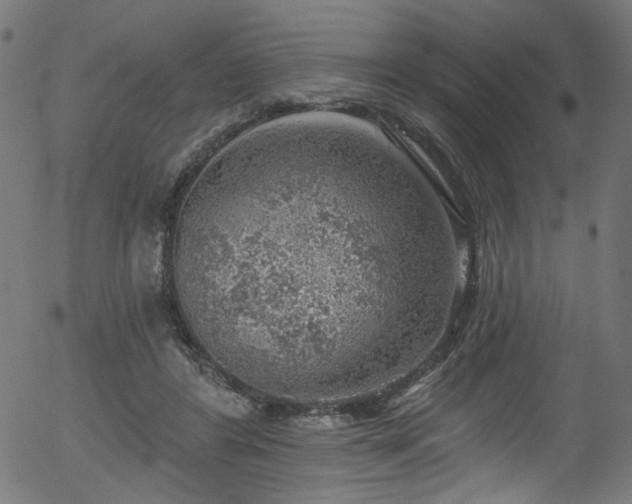 X0000056350404200508291327