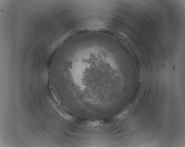 X0000056350405200508291327