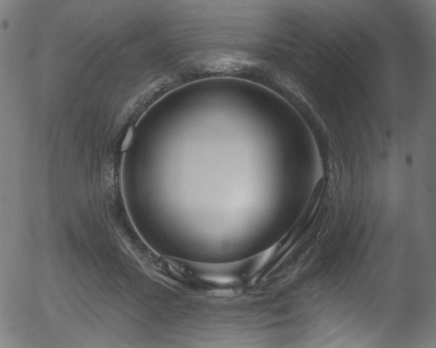 X0000056350407200508291327