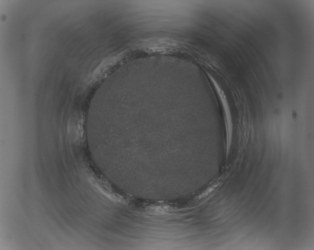 X0000056350408200508291327