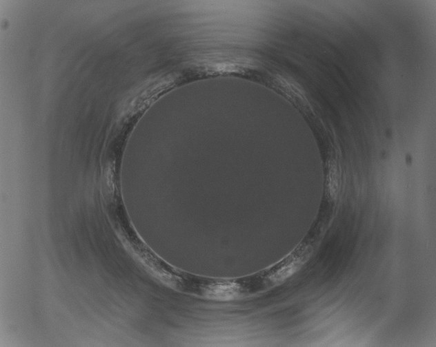 X0000056350410200508291327