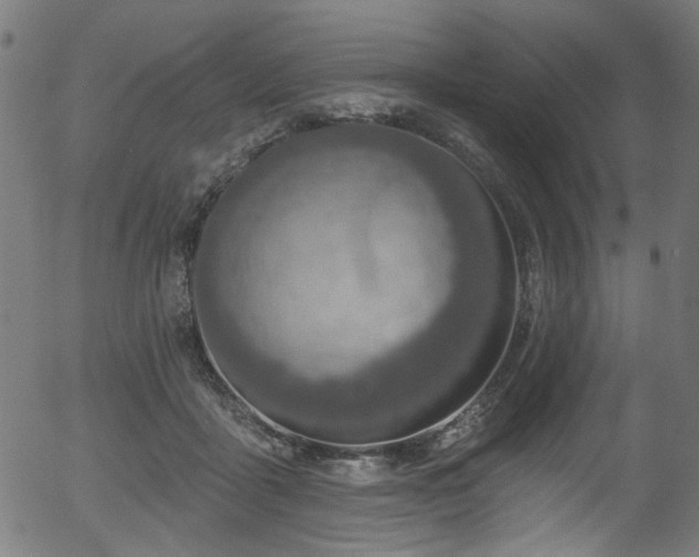 X0000056350411200508291327