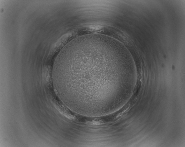 X0000056350412200508291327