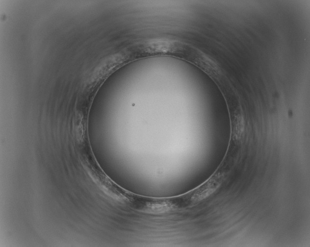 X0000056350414200508291327