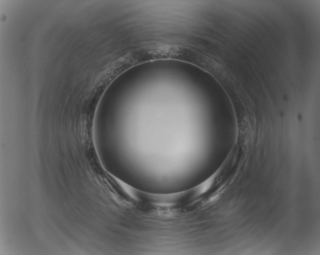 X0000056350416200508291327