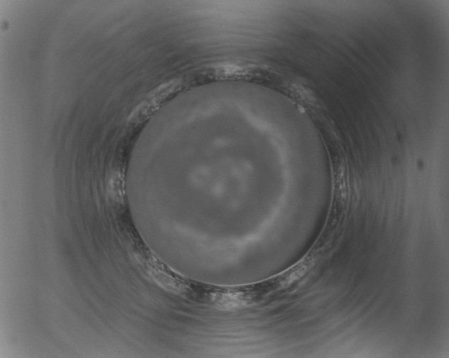 X0000056350419200508291327