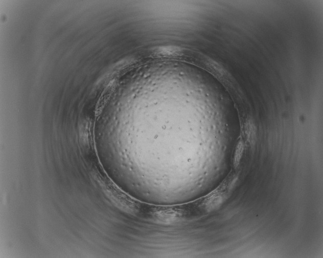 X0000056350423200508291327