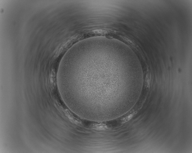 X0000056350424200508291327