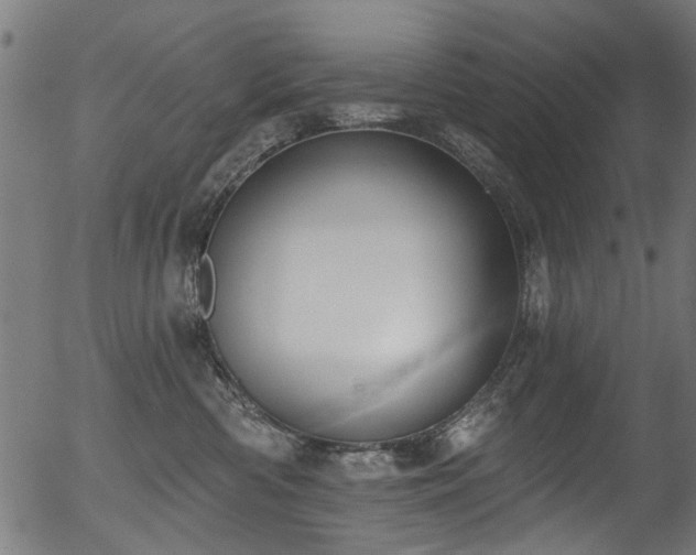 X0000056350426200508291327