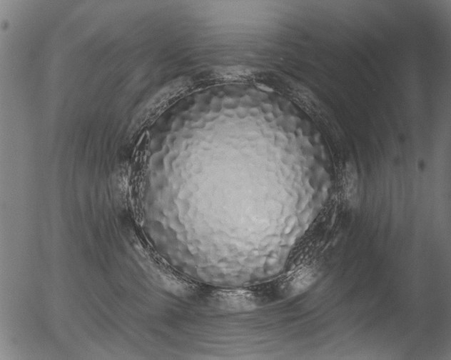 X0000056350427200508291327