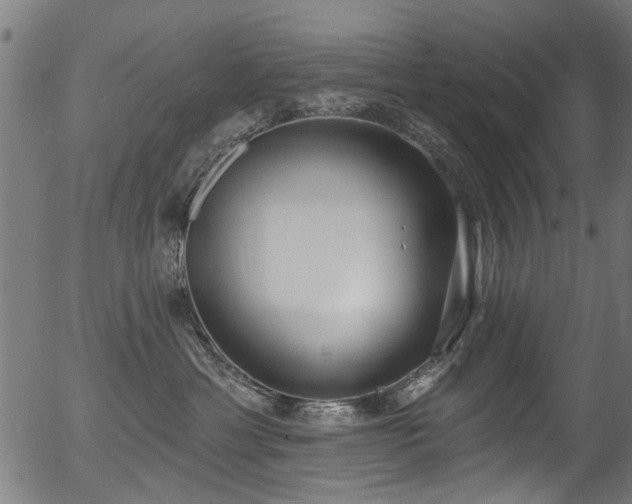 X0000056350429200508291327