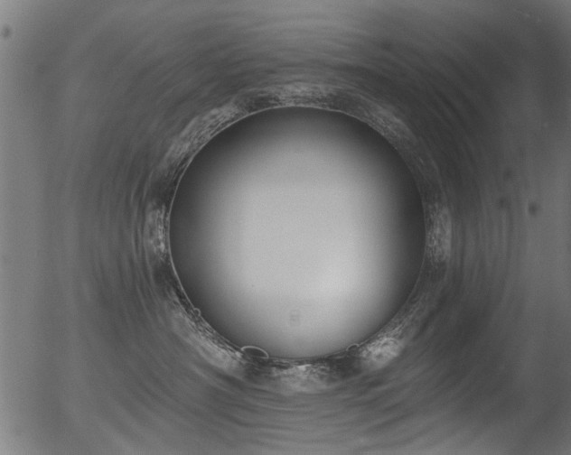 X0000056350430200508291327