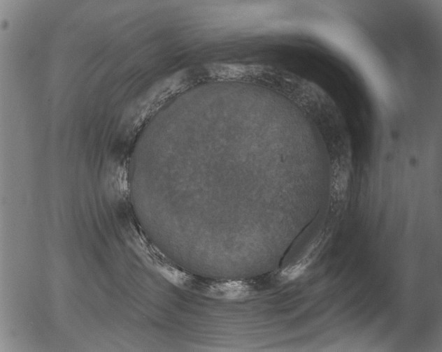 X0000056350431200508291327