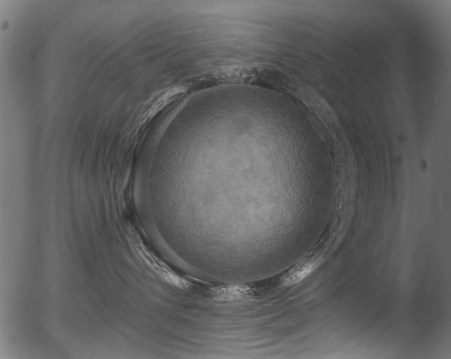 X0000056350432200508291327