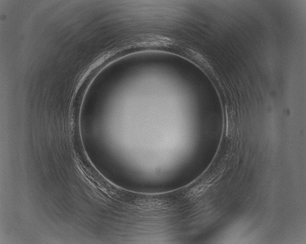 X0000056350435200508291326