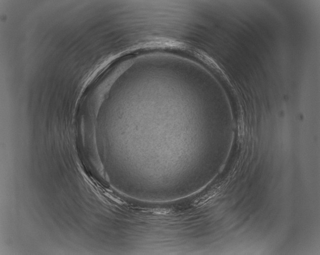 X0000056350436200508291326