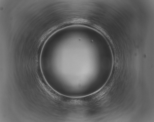 X0000056350437200508291326