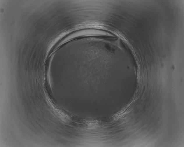 X0000056350438200508291326