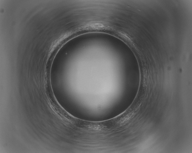 X0000056350439200508291326