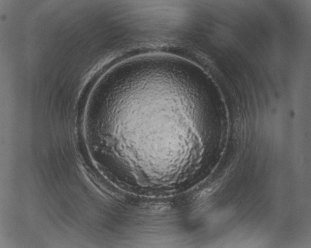 X0000056350443200508291326