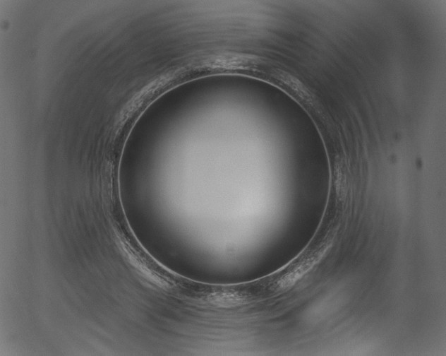 X0000056350445200508291326