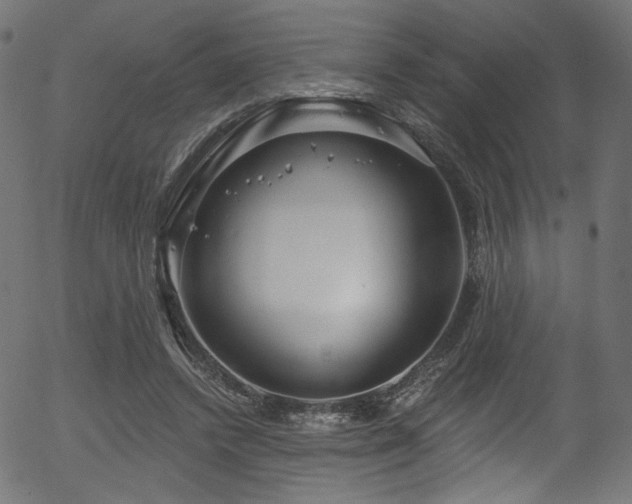 X0000056350448200508291326