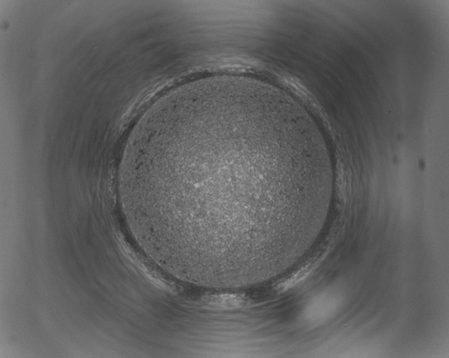 X0000056350449200508291326