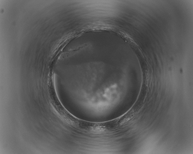 X0000056350451200508291326