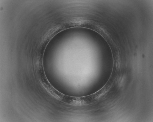 X0000056350455200508291326