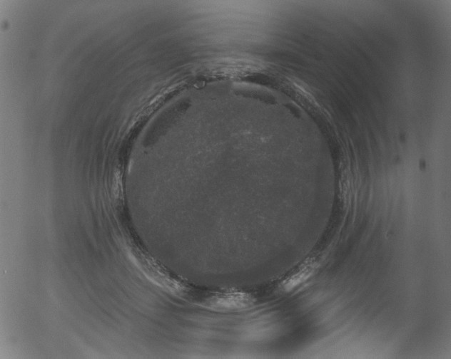 X0000056350459200508291326