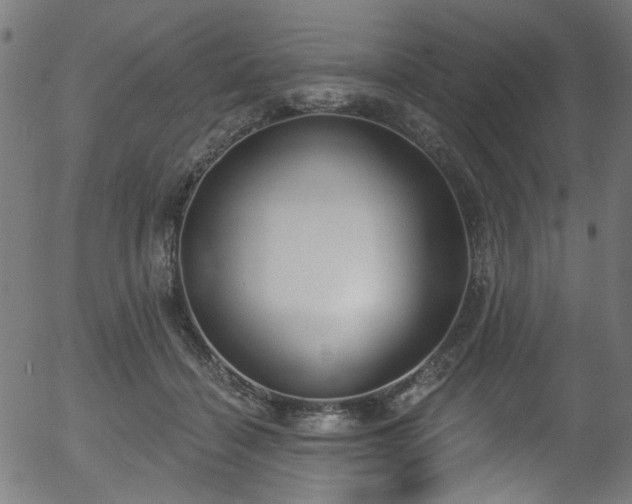 X0000056350460200508291326