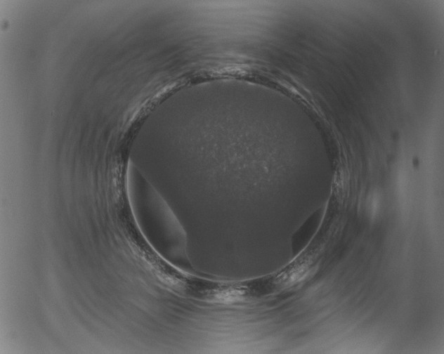 X0000056350462200508291326