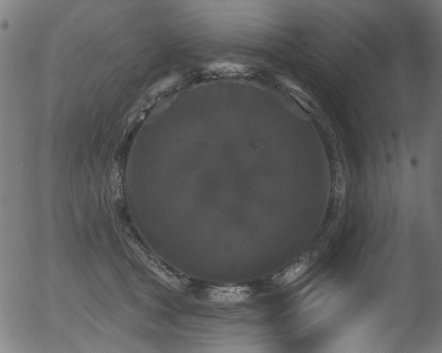 X0000056350465200508291327