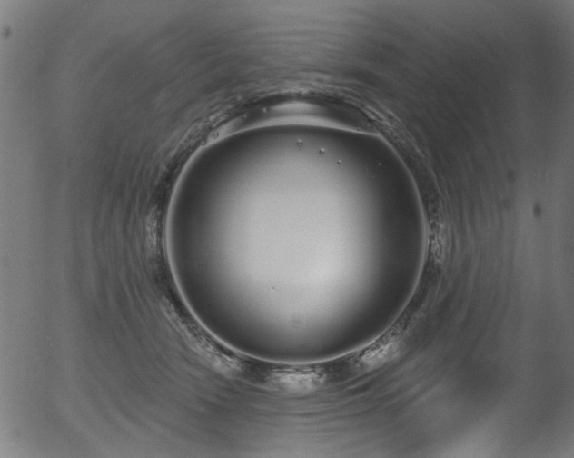 X0000056350466200508291327