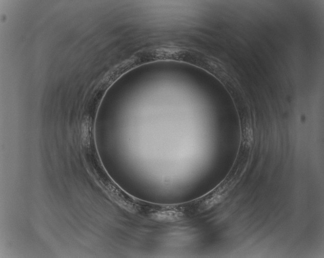 X0000056350468200508291327