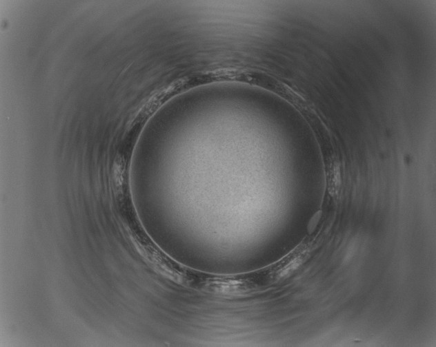 X0000056350472200508291327