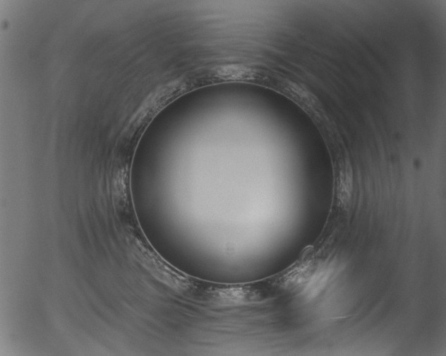 X0000056350473200508291327