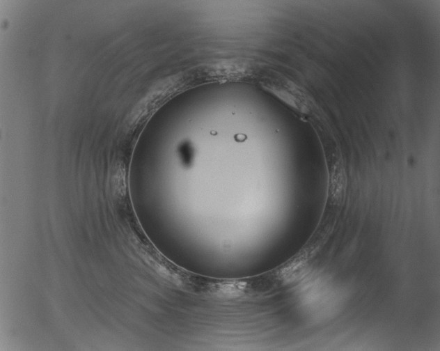 X0000056350474200508291327